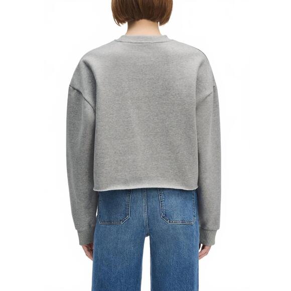 NEW FAVORITE DAUGHTER cropped collegiate sweatshirt in smoketree gardenia - Picture 4 of 6